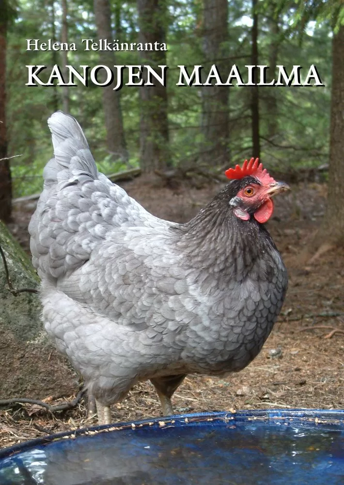 Kanojen-maailma Kanojen maailma - Sanasilta