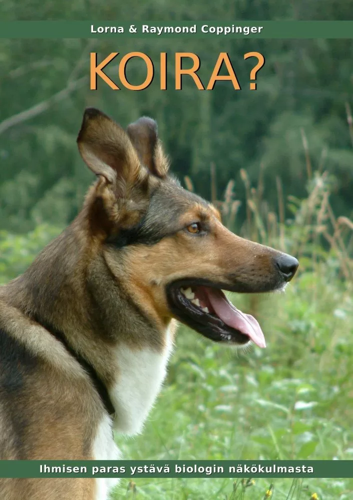 Koira Koira? - Sanasilta