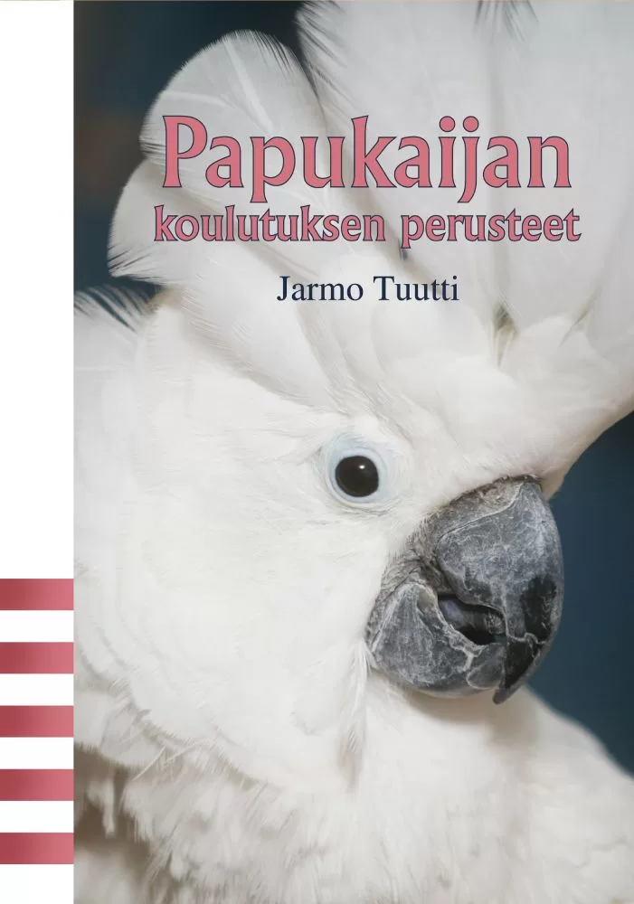Papukaijan-koulutuksen-perusteet Papukaijan koulutuksen perusteet - Sanasilta